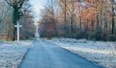 Randonnée Marche Saint-Jean-aux-Bois - en forêt de Compiègne_44_sur les Routes du Moulin et de Berne - Photo 18
