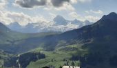 Trail Walking Le Grand-Bornand - BARGY: LE CHINAILLON - LAC DE LESSY - Photo 6