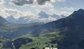 Randonnée Marche Le Grand-Bornand - BARGY: LE CHINAILLON - LAC DE LESSY - Photo 6