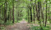 Trail Walking Mesnard-la-Barotière - circuit du bois du défend  - Photo 1
