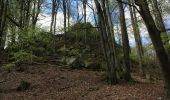 Trail On foot Poppenhausen - Poppenhausen - Rhön-Rundweg 8 - Photo 10