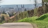 Excursión Bici eléctrica Saint-Clément - sortie vtt 10042023 haut de Lunéville  - Photo 4