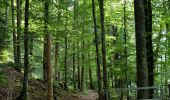 Tour Wandern Le Frasnois - Lac de Narlay - Pic de l'Aigle - Photo 6