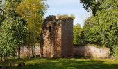 Excursión Senderismo Grendelbruch - Grendelbruch - château de Guirbaden - châtaignes - Photo 10