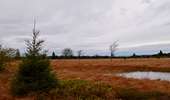 Trail Walking Baelen - 20231030 - Drossart 7.8 Km - Photo 11