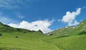 Tocht Stappen Aime-la-Plagne - afe - Photo 20