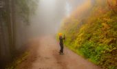 Tocht Te voet Vezza d'Oglio - Slaàse - Photo 4