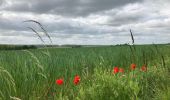 Randonnée Marche Yvoir - Durnal / 2020-05-24 / 16 km - Photo 3