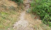 Trail Walking Le Malzieu-Ville - LE MALZIEU - APCHER  - Photo 11