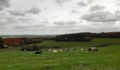 Tour Wandern Theux - tour  des fermes. f airifagne . f wisselez . Mont . hodbomont . f st Remacle - Photo 1