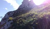 Randonnée Marche Claix - Le balcon du pic Saint Michel Par la grotte des pouliches - Photo 3