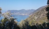 Tocht Stappen Vernazza - RA 2019 Cinque Terre Corniglia Vernazza - Photo 2