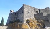 Trail Walking Collioure - autour de Collioure a travers les vignes - Photo 6