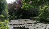 Tour Wandern Martelingen - Le Bois de la Nasse - Photo 4