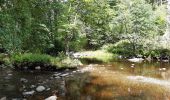 Tour Wandern Eupen - kloster reichenstein . monschau 100 zuruck 55 - Photo 15