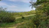 Randonnée Marche Châtel-Guyon - VALLEE DE SANS SOUCI - CHATEAU DE CHAZERON - Photo 7