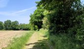 Trail Walking Hannut - La balade des chevées (5km)  - Photo 15