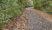 Percorso A piedi Plombières - Moresnet ( Plombieres)5 Km  - Photo 3