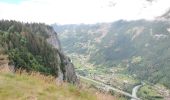 Trail Walking Arâches-la-Frasse - Mont Jovy pierre à Laya - Photo 3