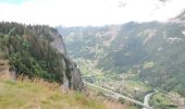 Tocht Stappen Arâches-la-Frasse - Mont Jovy pierre à Laya - Photo 3