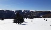 Trail Snowshoes Fellering - Tour du Markstein - Photo 1