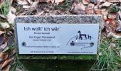 Percorso A piedi Grasellenbach - Rundwanderweg Wahlen 2: Tromm-Weg - Photo 9
