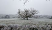 Trail Walking Genouilly - Genouilly  - Photo 1