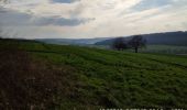 Tour Wandern Bièvres - Bièvres France - Photo 10