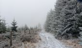 Randonnée Marche Theux - dans le givre de Crambon  - Photo 12