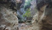 Trail Walking Monieux - Gorges de la Nesque - Photo 9