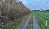 Randonnée Marche Asse - Mollem-Alost 21 km - Photo 4