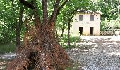 Trail Walking Bédoin - PAVILLON DE ROLLAND ALLER RETOUR PAR LE CHALET REYNARD - Photo 1