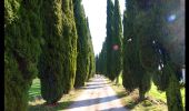 Trail On foot Poppi - La Via dei Legni - Photo 5