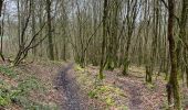 Tour Wandern Anhée - Paysage de la Molignee en boucle 19km - Photo 6