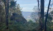 Tocht Stappen Sobrado e Bairros - Castelo de Paiva - Douro (GR60) - Photo 1