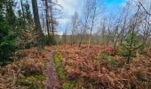 Tocht Stappen Vielsalm - Balade à Salmchateau - Photo 5