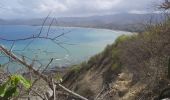 Tocht Stappen Parroquia Machalilla - Los Frailes - Photo 10