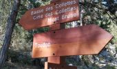 Tocht Stappen Toudon - FFR - la Cime des Colettes  - Photo 1