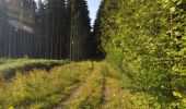 Tocht Mountainbike Chimay - Baileux - Couvin - Ry de Rome - Regniessart - 65km  : 1250 - Photo 12