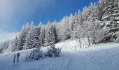 Tour Schneeschuhwandern Lans-en-Vercors - Circuit les Aigaux / Charande - Photo 1