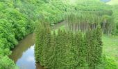 Tour Wandern Bouillon - De Rochehaut vers Poupehan  - Photo 5