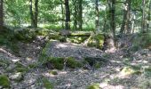 Trail On foot Maasmechelen - Mechels Bos Paarse trapezium - Photo 2
