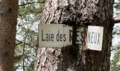 Percorso Marcia Ormoy-le-Davien - 040522 - Boucle Ormoy le Davien - Moulin de Wallu... - Photo 13