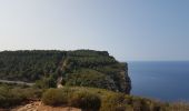 Randonnée Marche La Ciotat - falaise du cap Canaille AR - Photo 5