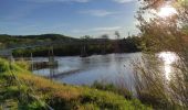 Tocht Stappen Nancy - Nancy - Le grand couronné - Dommartemont - Le moulin noir - Nancy - Photo 13