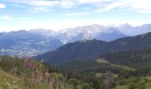 Excursión Senderismo Samoëns - plateau des saix . la corne . les biollaires . pointe de cupoire .  plateau des saix - Photo 7