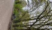 Tour Wandern Breda - Breda Mastbosch 24,8 km - Photo 19