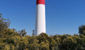 Excursión Senderismo Martigues - entre Courone et Carro - Photo 18