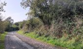 Tocht Stappen Comblain-au-Pont - oneux . comblain-la-tour . oneux - Photo 13