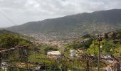 Tour Wandern Machico - Madère : du tunnel de Caniçal à Porto da Cruz - aller en bus - Photo 2